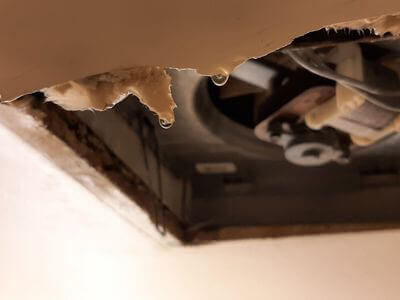 Professional storm damage restoration services in Detroit - water damage restoration service